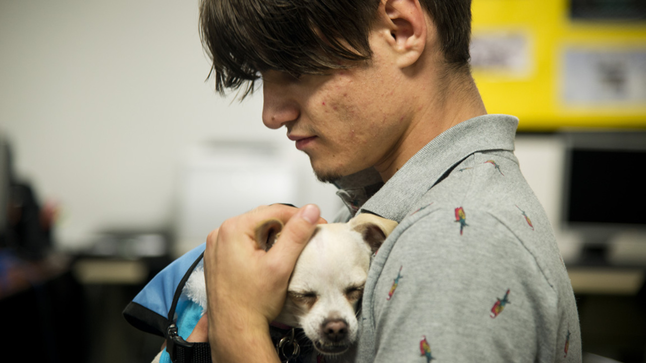How this program helps kids by teaching them to care for animals