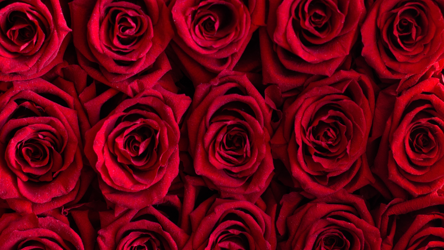 Valentine's Day: Is love at first sight real?