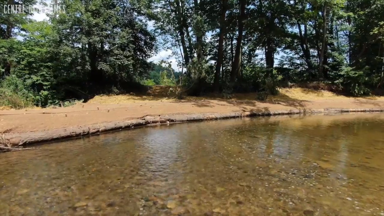 ‘It’s going to be worth it.’ How Wildlife for Everyone is making nature accessible in Centre County