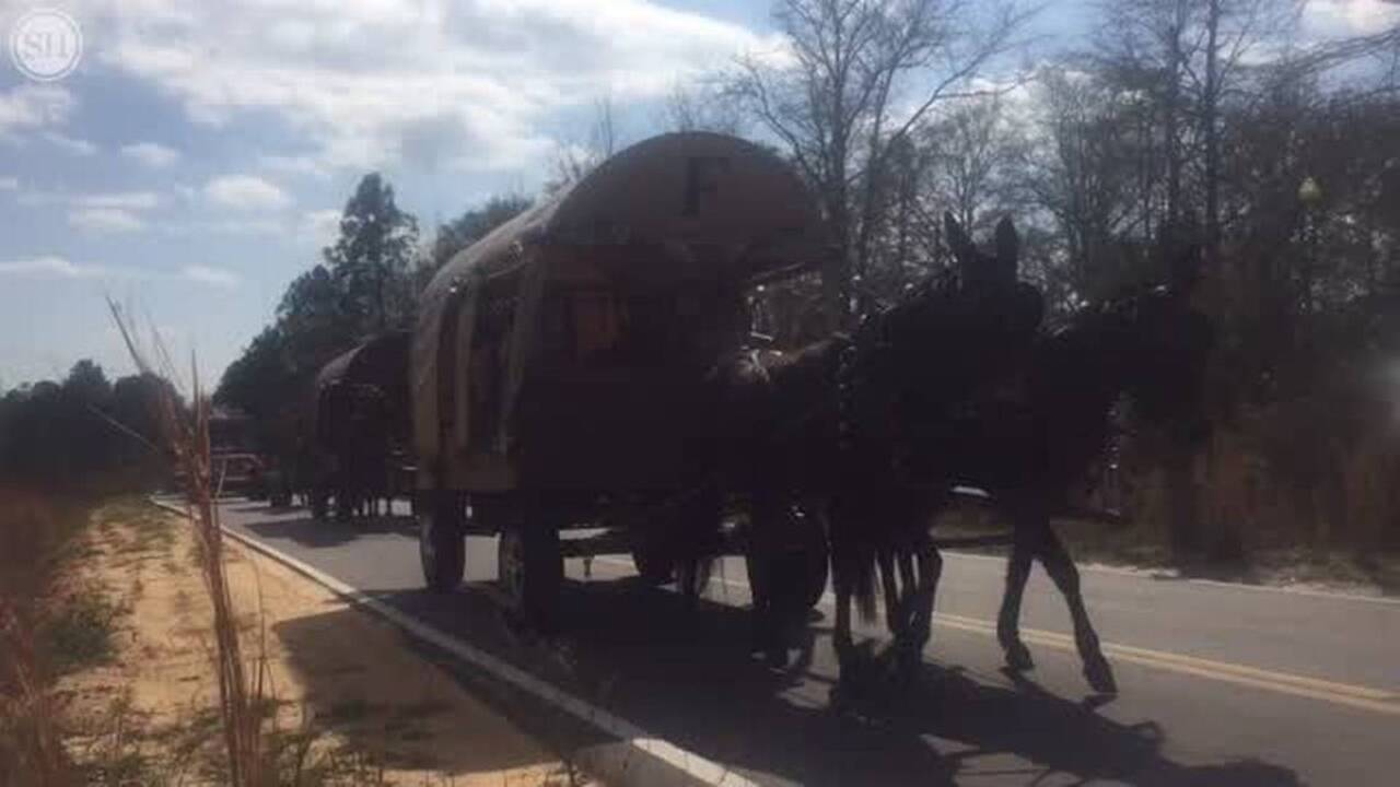 Lizana Mardi Gras parade