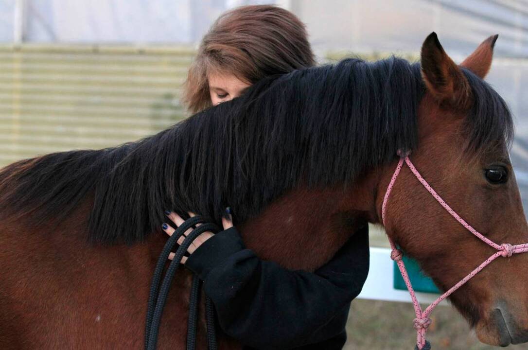 After raising $1 million, Cary nonprofit that serves struggling teens buys farm