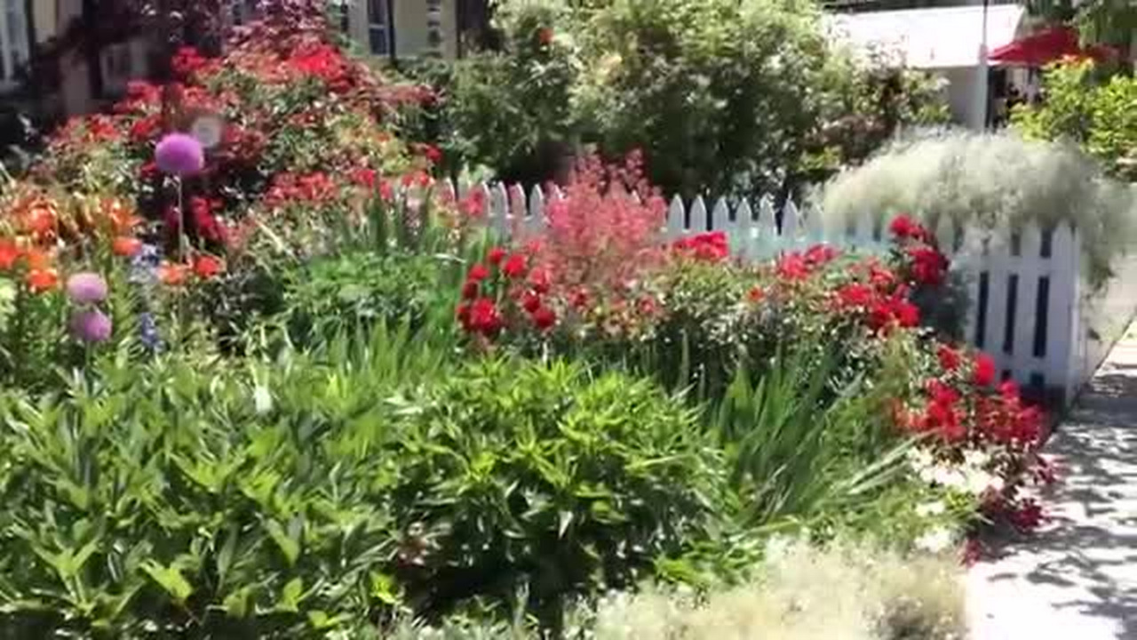 Take a tour of the gardens in the 2014 Idaho Botanical Garden tour