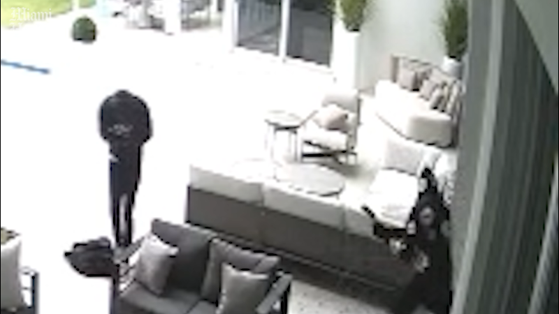 Video shows suspects trying to break into Larsa Pippen's home