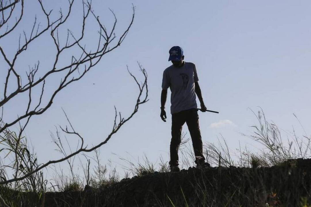 Famed snake trackers from India are latest weapon in Florida war on pythons