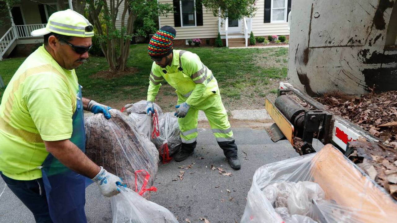Raleigh won't collect yard waste in black plastic bags