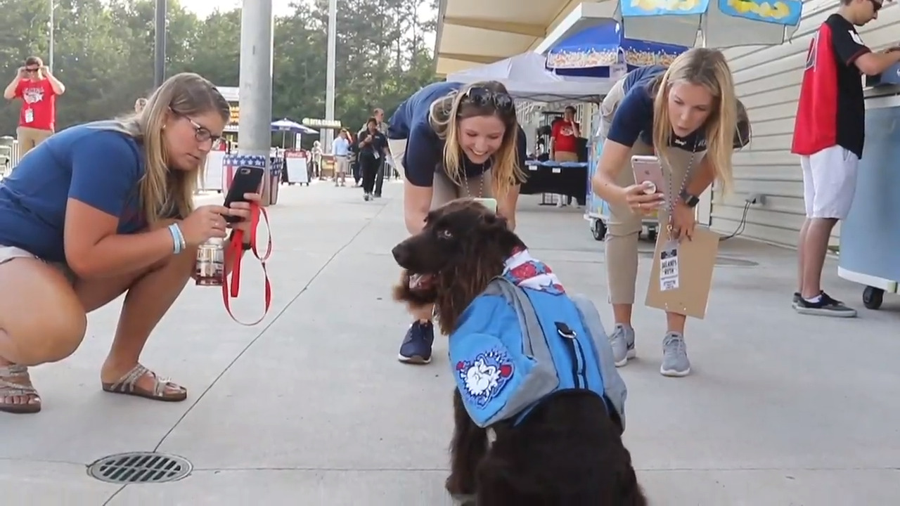 Lexington Blowfish have a new ball boy ... and he's quite fetching