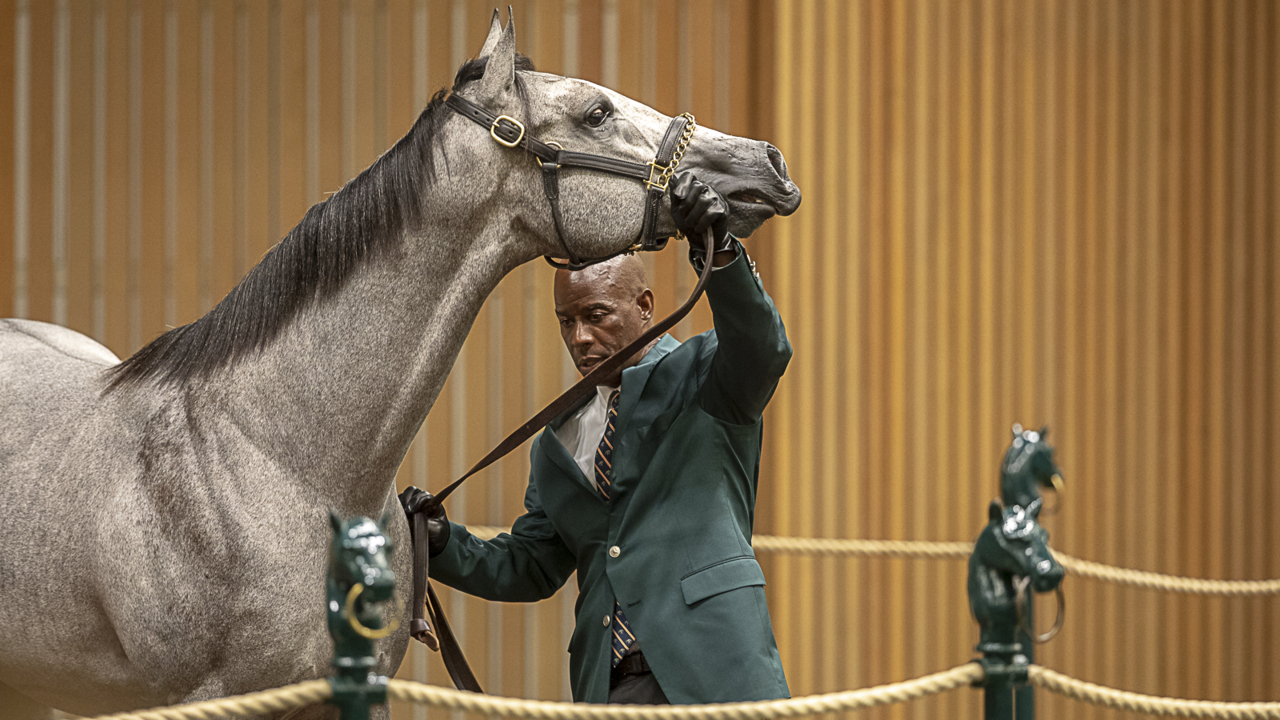 What goes into “the largest and most important thoroughbred auction in the world”