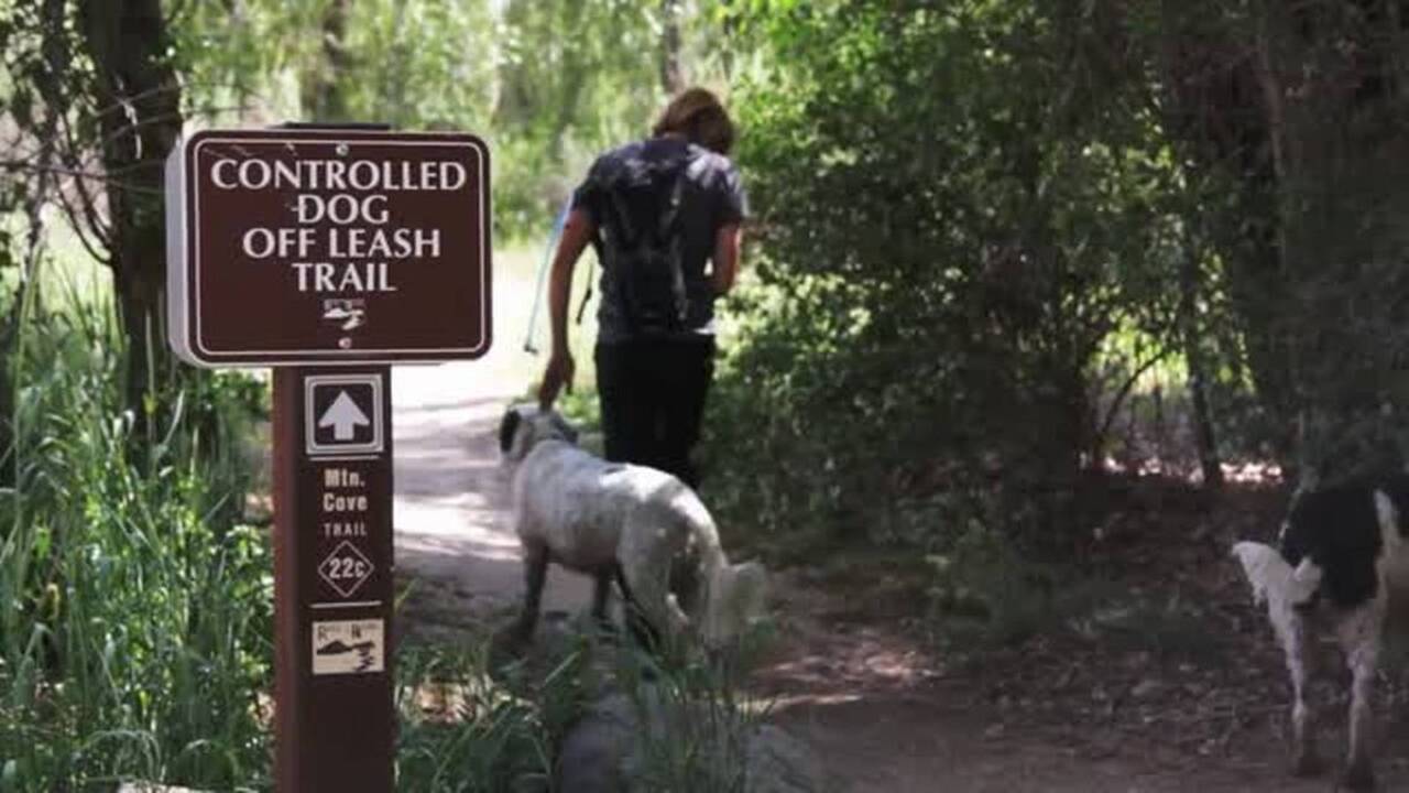 New to Boise? 5 things to know about Ridge to Rivers trails: etiquette, hikes, more