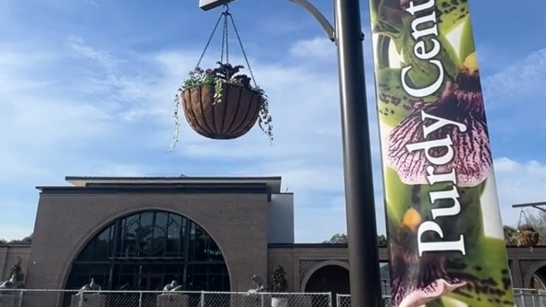 Take a look inside Brookgreen's new Welcome Center and Conservatory