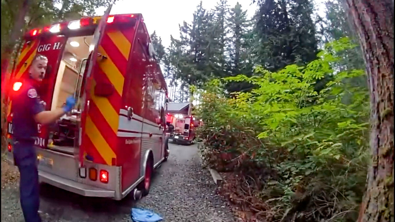 Carbon monoxide leak hospitalizes 2 near Gig Harbor