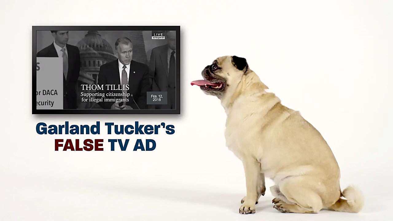 Tillis, Cunningham raising most money in Senate race. Where are they getting it from?