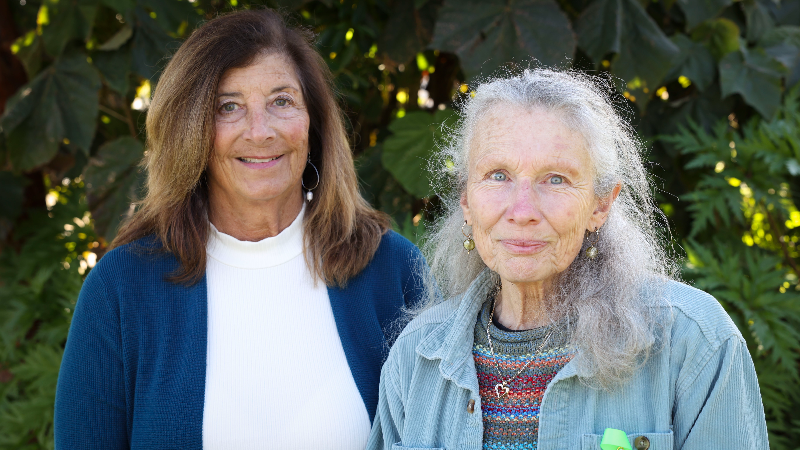 How to talk to mentally ill people who resist treatment