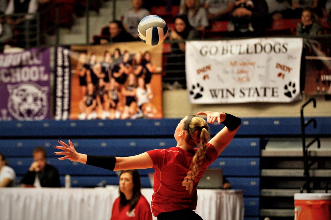 Rose Hill’s Gracie Van Driel, 2018 All-Metro volleyball selection