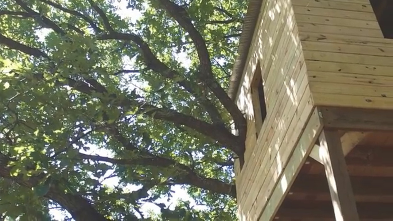 Massive treehouse makes for lofty addition to popular spot