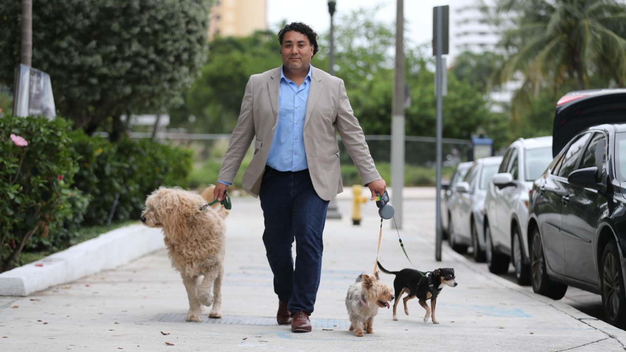 Here’s why dogs in Miami are looking forward to Monday. It’ll be a walk in the park.