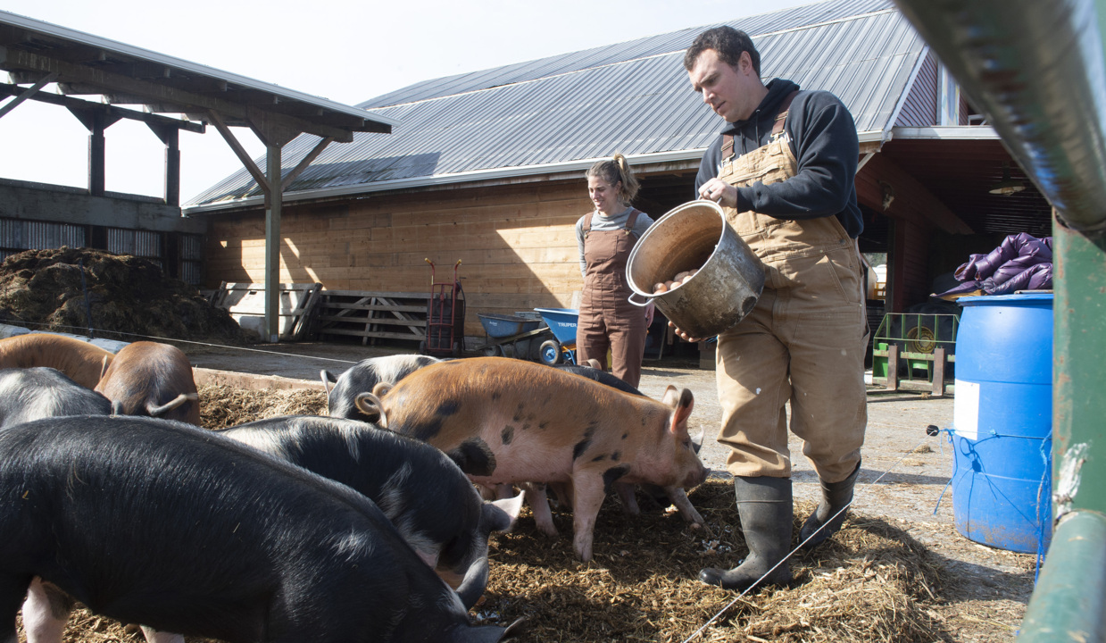 Local military base starts farmers market. Vendors, including vets, encouraged to join