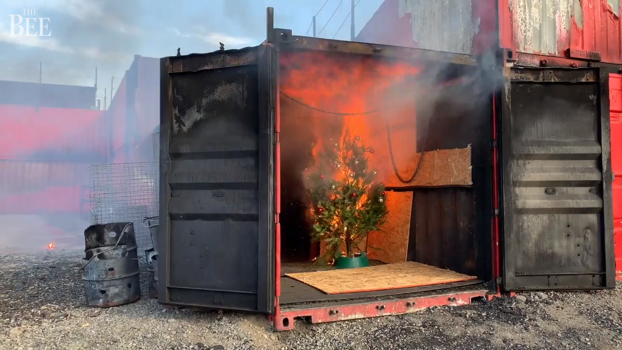 Here’s a 3-minute lesson to avoid holiday disaster: Tips for your Christmas tree