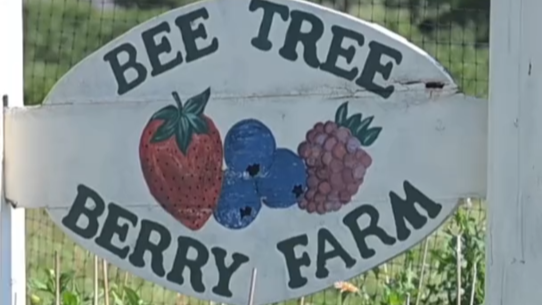 Bee Tree Berry Farm offers 'good, quality, natural food'