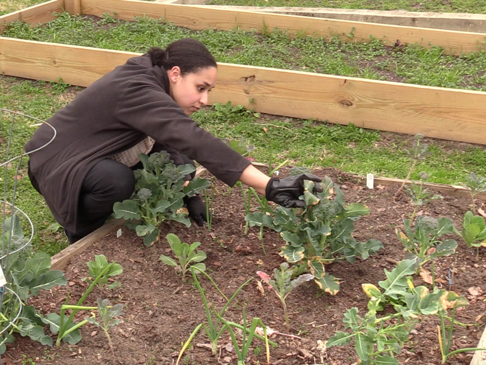 This Mercer University medical student is bringing fresh veggies to Macon’s food deserts