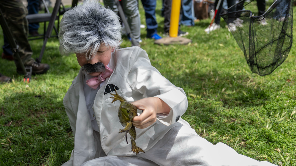 See Mark Twain’s Calaveras jumping frog story come alive at state Capitol
