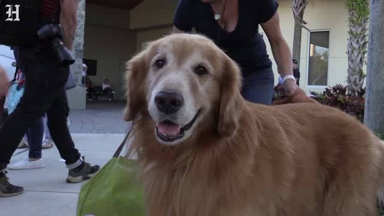 What do Columbus teachers do to help children? Whatever it takes.