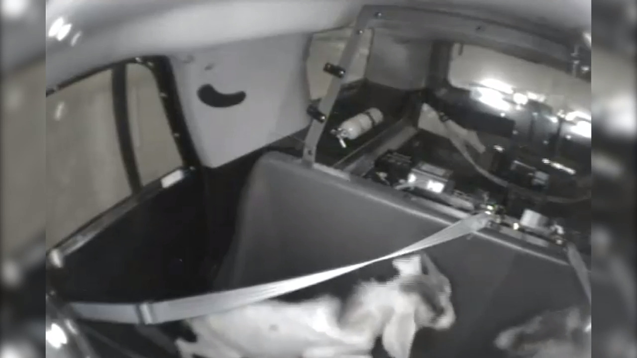 ‘One goat in custody’ watch as North Texas officers capture a goat