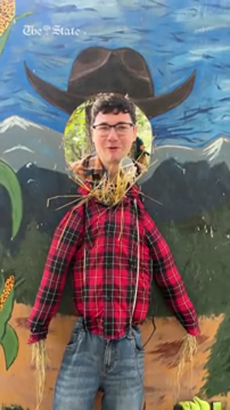 Pumpkin patches are open and plentiful