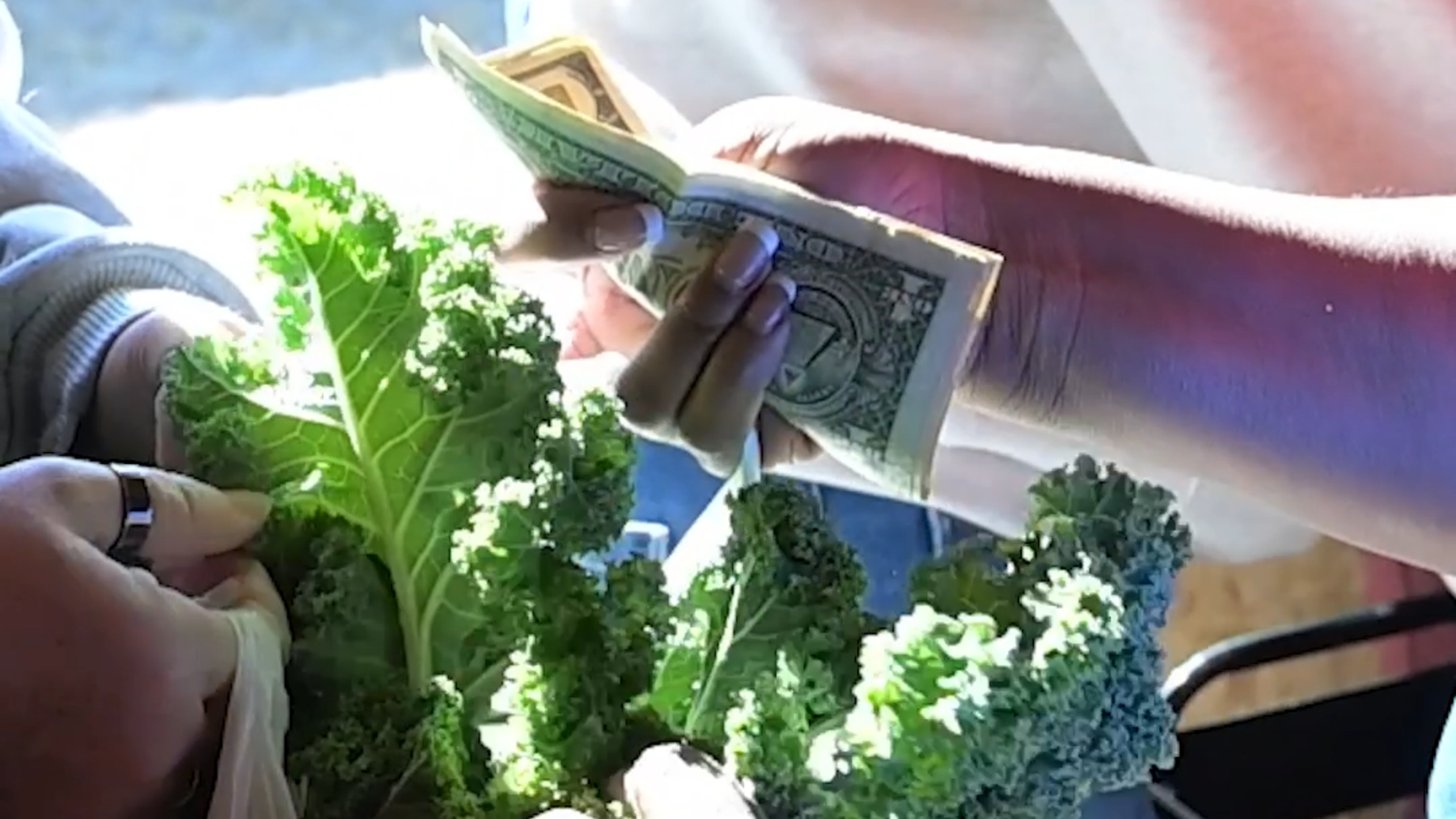 See inside new fresh produce "dollar store" in Fort Valley