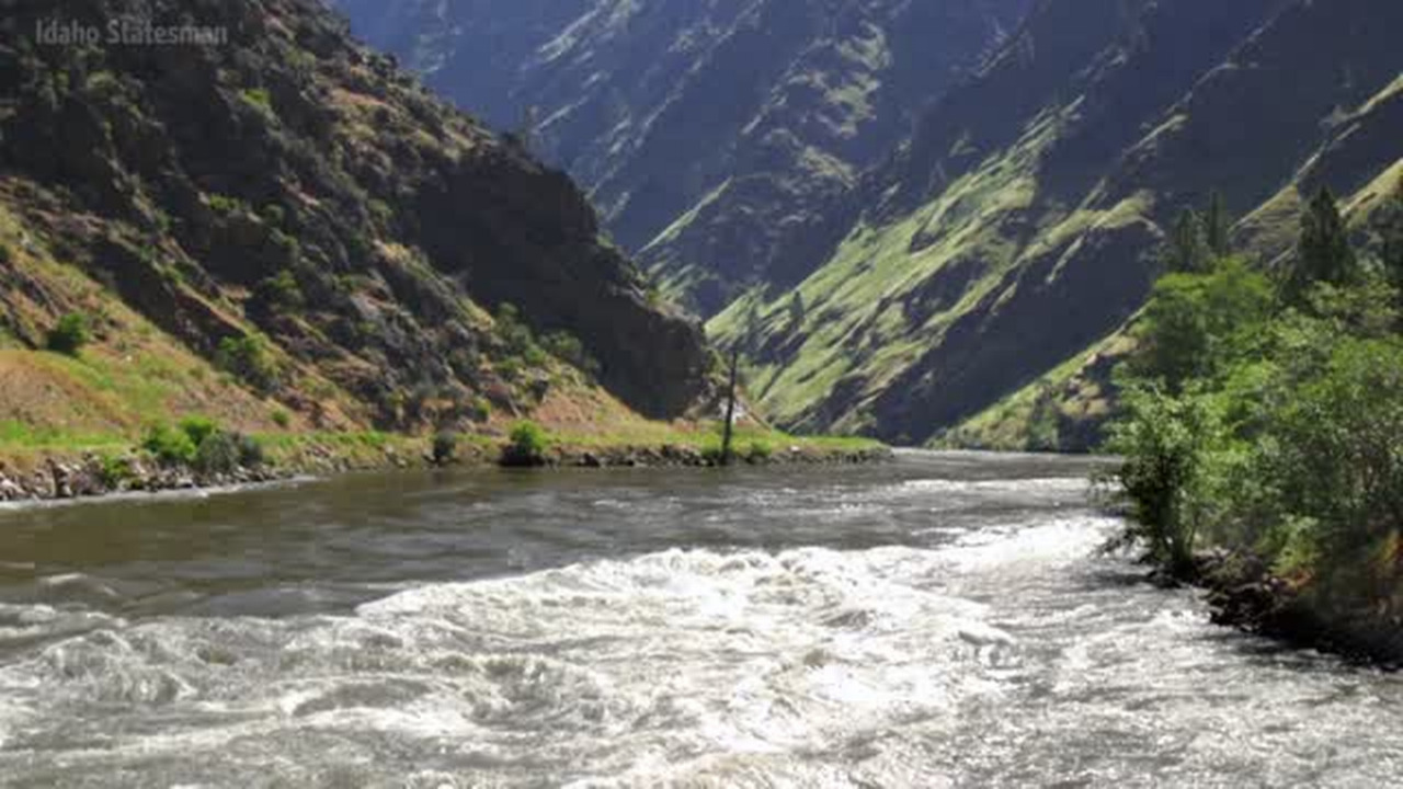 Why did thousands of Chinook salmon die this month in the Nooksack River’s South Fork?