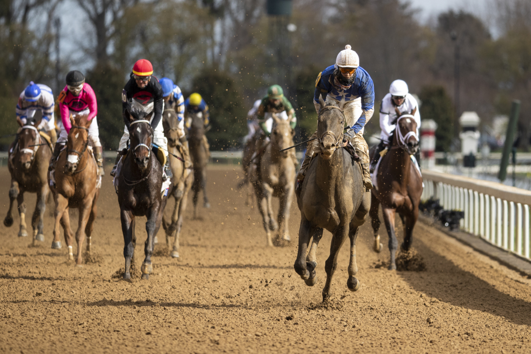 Slideshow: Highlights from Blue Grass Stakes Day at Keeneland