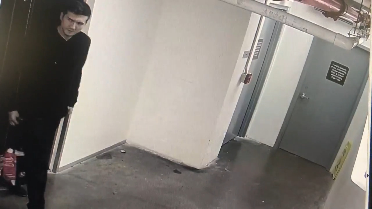 Parking lot vehicle burglar caught on surveillance video | Miami Herald