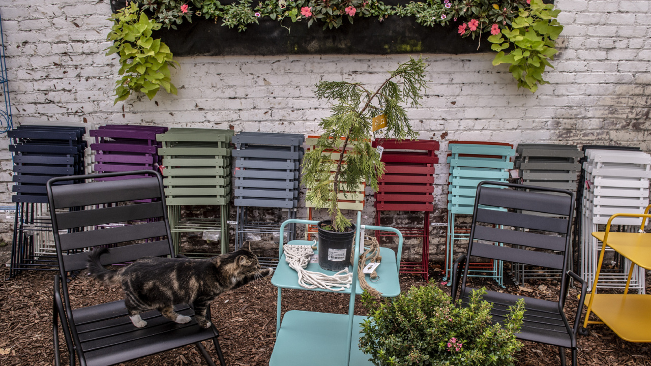Planting a patio garden? Here are some things to consider