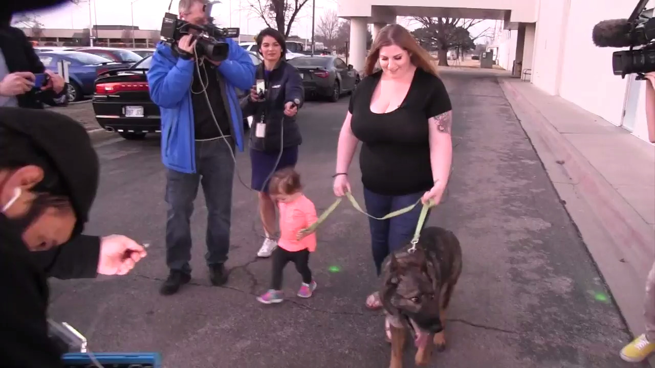 Dog reunited with family after being shipped halfway around the world