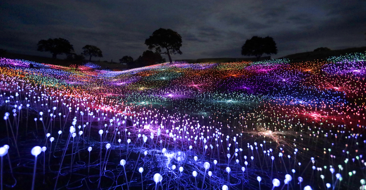 Field of Light at Sensorio will remain in Paso Robles indefinitely