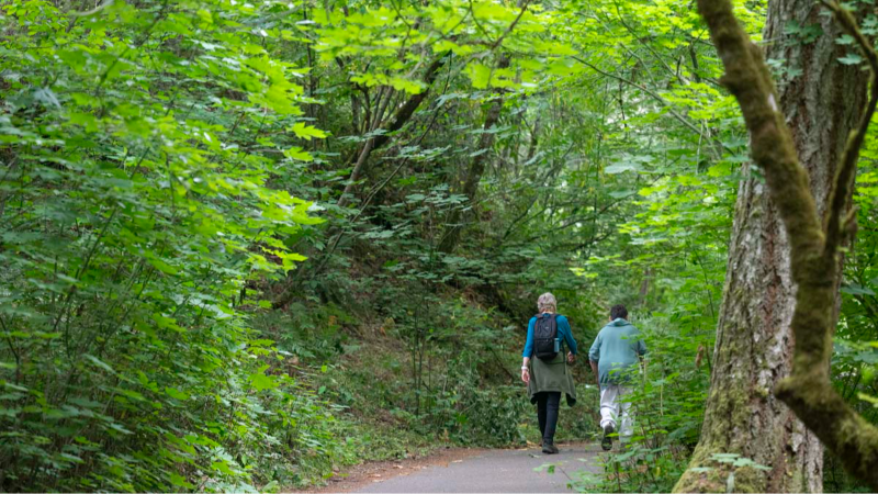 History is underfoot on the Sequalitchew Creek Trail in DuPont