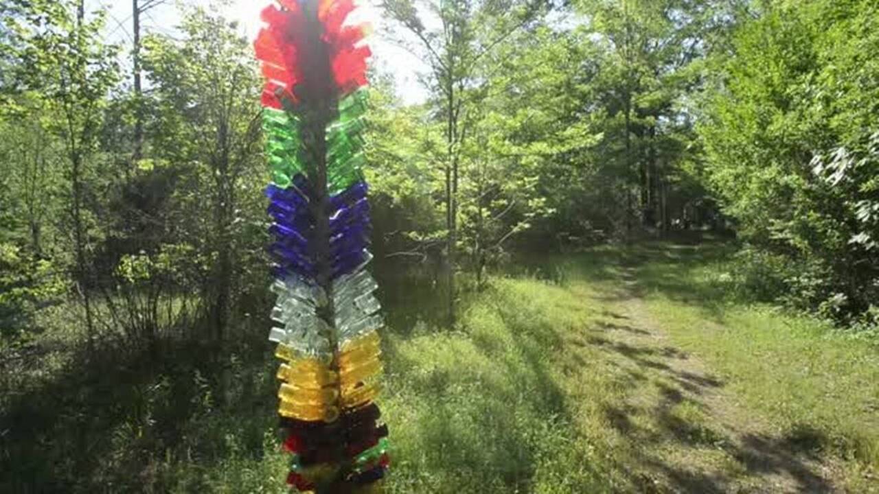 In the shade of the bottle trees