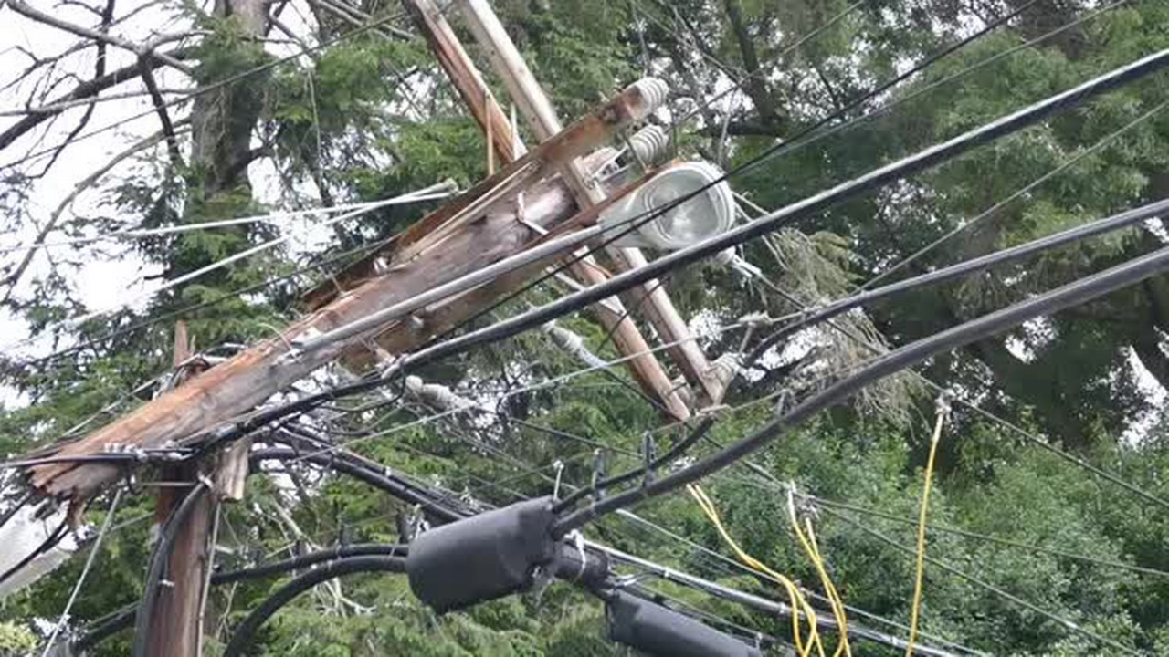 Fallen tree knocks out power in Myers Park | Charlotte Observer