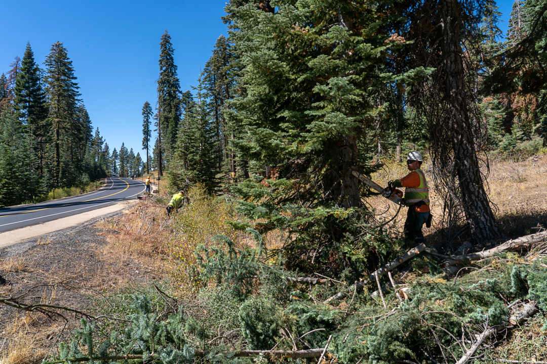Trump officials blame ‘environmental terrorists’ for wildfires. California loggers disagree