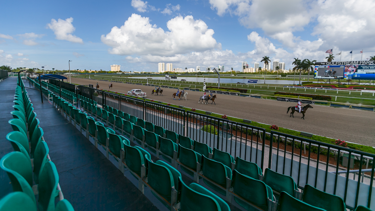 Horses still racing at Gulfstream Park but with no fans in the stands