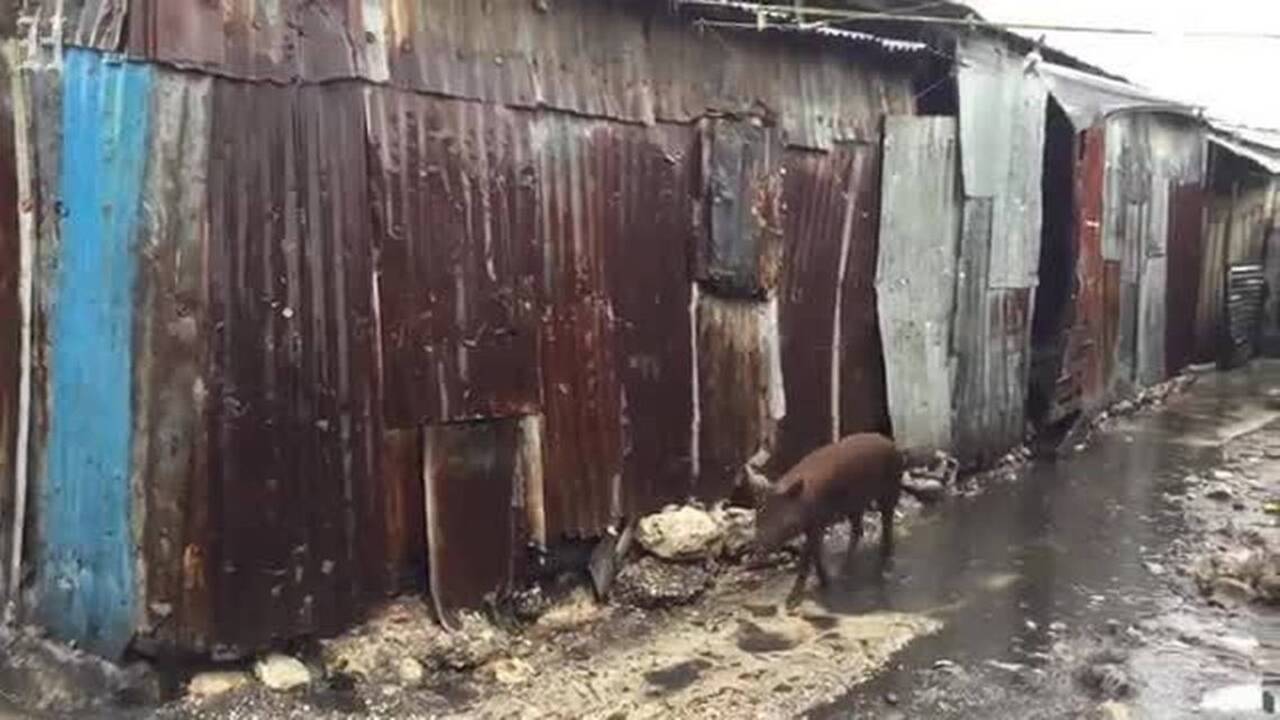 Eve of Hurricane Matthew's arrival in Haiti