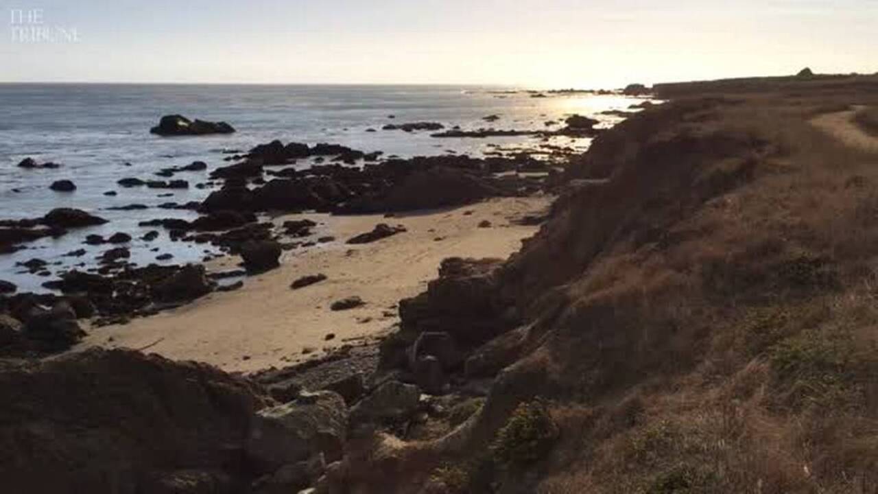 Hiking Estero Bluffs State Park