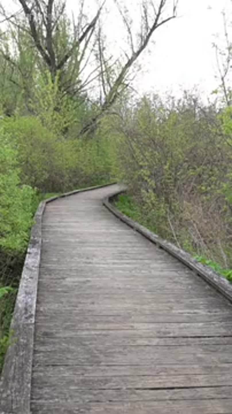 Millbrook Marsh asking for community's input for boardwalk