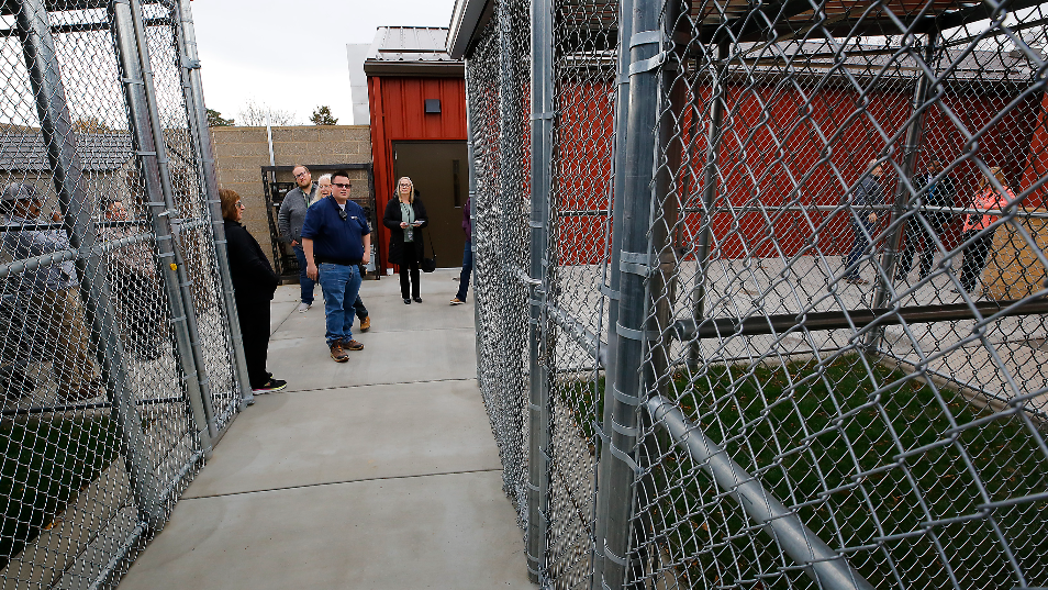 Benton Co. opens $1.4M canine shelter expansion. Take a look