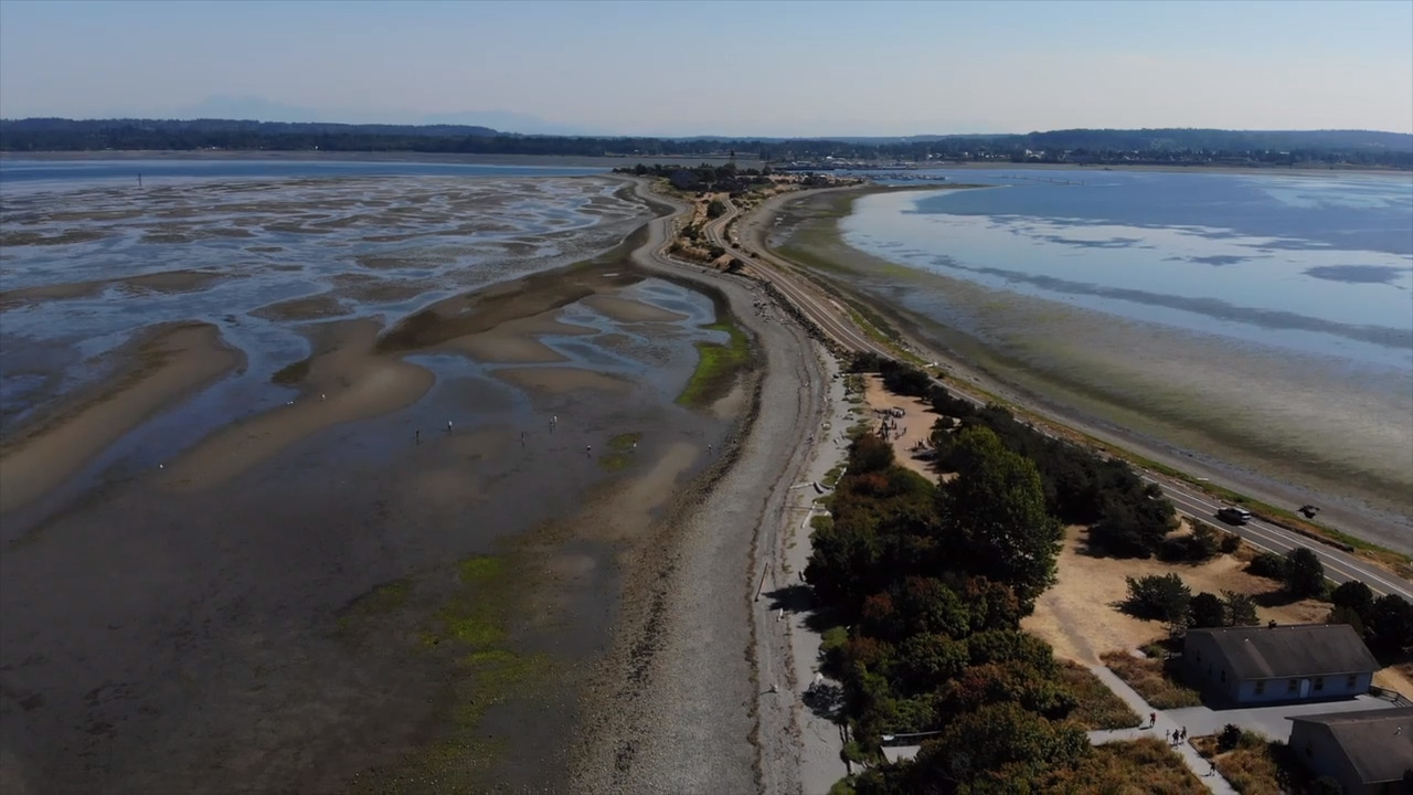 These three Whatcom County green spaces offer family ambles, and more, this Thanksgiving