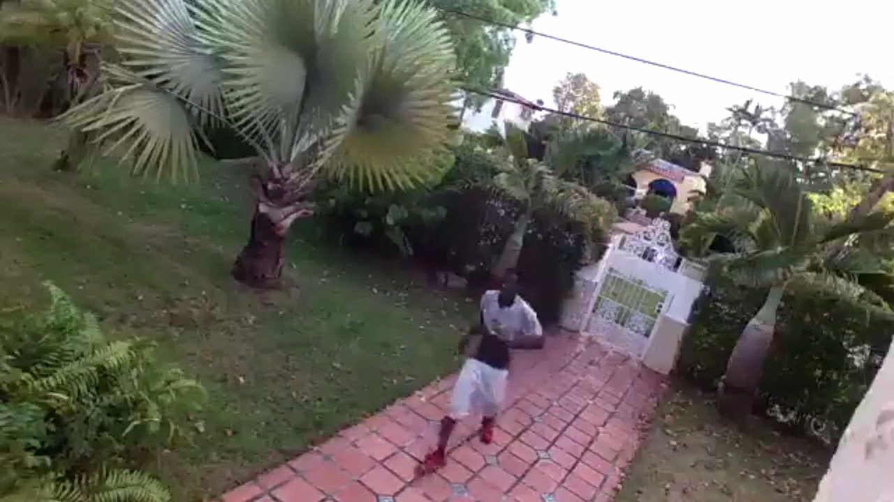 Bold burglar caught on home surveillance | Miami Herald