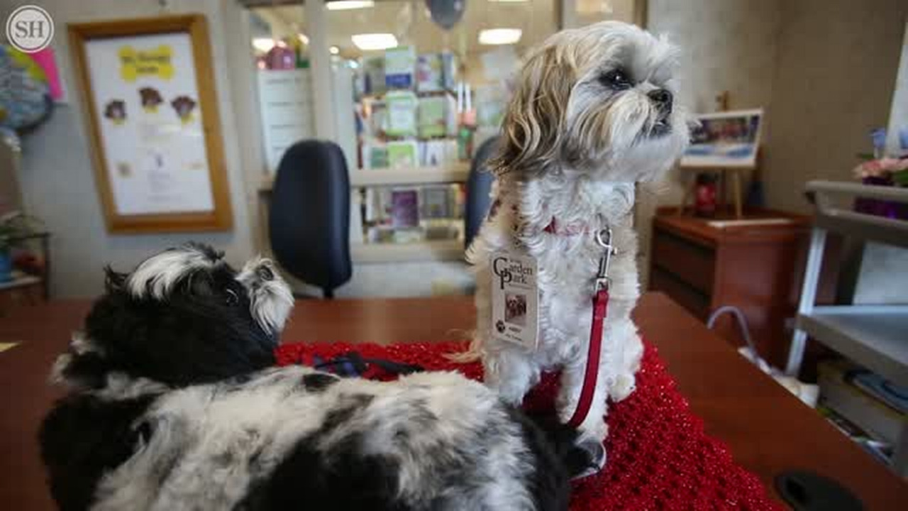 It’s hard to have a bad day around Mary, Bella and Abby