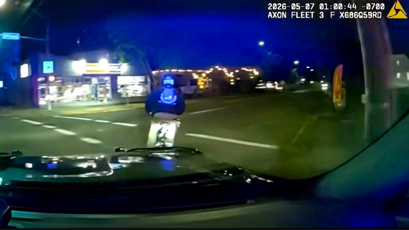 Thurston Co. K9 Igo helps Olympia police arrest suspect.