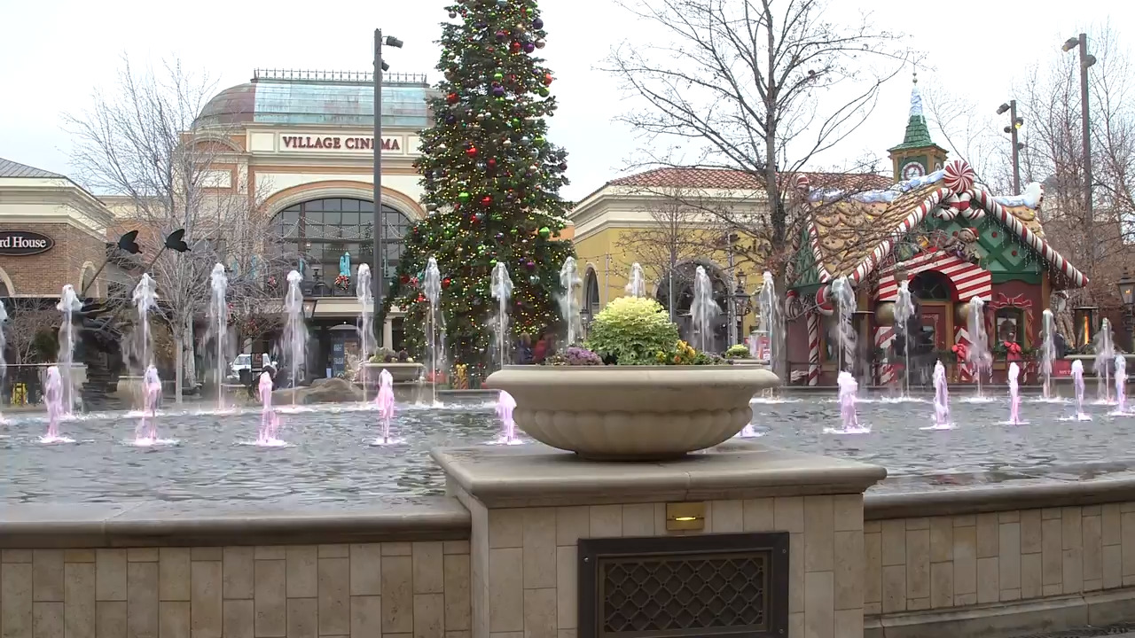 Here’s what makes The Village at Meridian successful