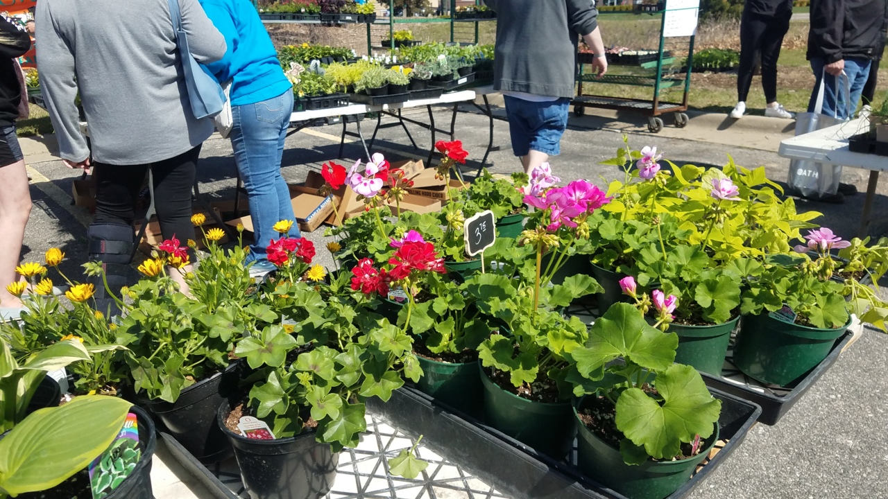 Sights and sounds of a Kansas farmers market
