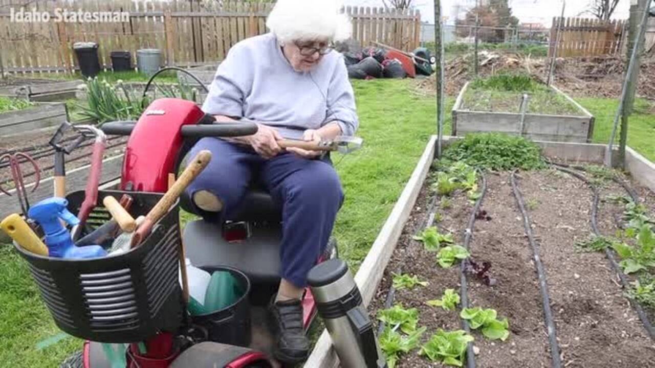 Into the garden with Margaret Lauterbach